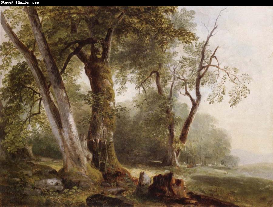 Asher Brown Durand Landscape with Beech Tree